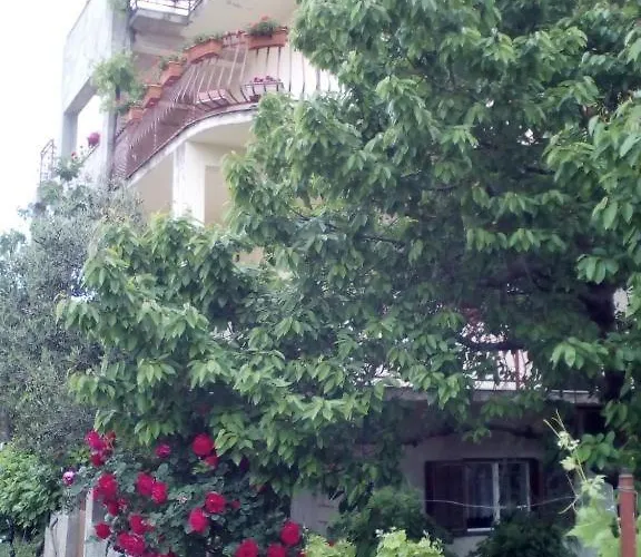 5185-1 For 3 Pers In Brodarica Appartement